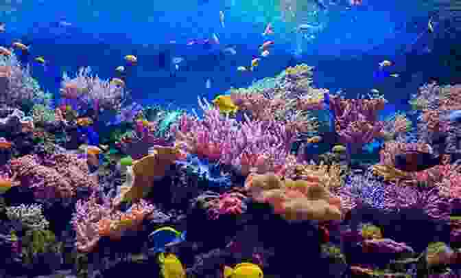 A Vibrant Reef Fish Swims Amidst Coral Creatures Of The Kingdom: Stories Of Animals And Nature
