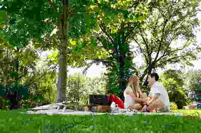 Couple Enjoying A Picnic In A Park 365 Fun And Cute Date Ideas: An Adventure Journal For Couples With Surprise Date Ideas For Every Day Of The Year To Share Unique Experiences Increase Emotional Intimacy And Become A Happier Couple