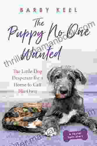 The Puppy No One Wanted: The Little Dog Desperate For A Home To Call His Own (Foster Tails 3)